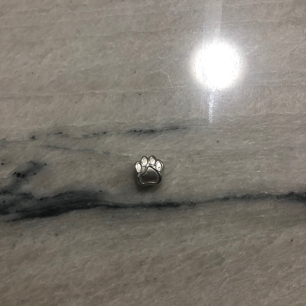Dog Paw Charm for bracelets